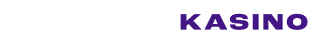Spinzkasino